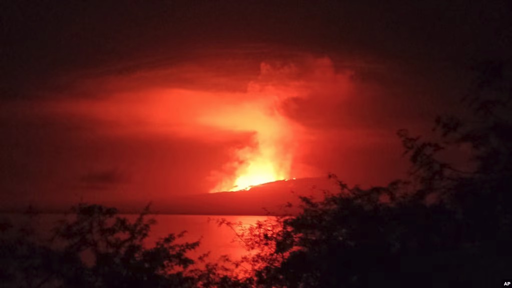 Volcano on Uninhabited Galapagos Island Erupts
