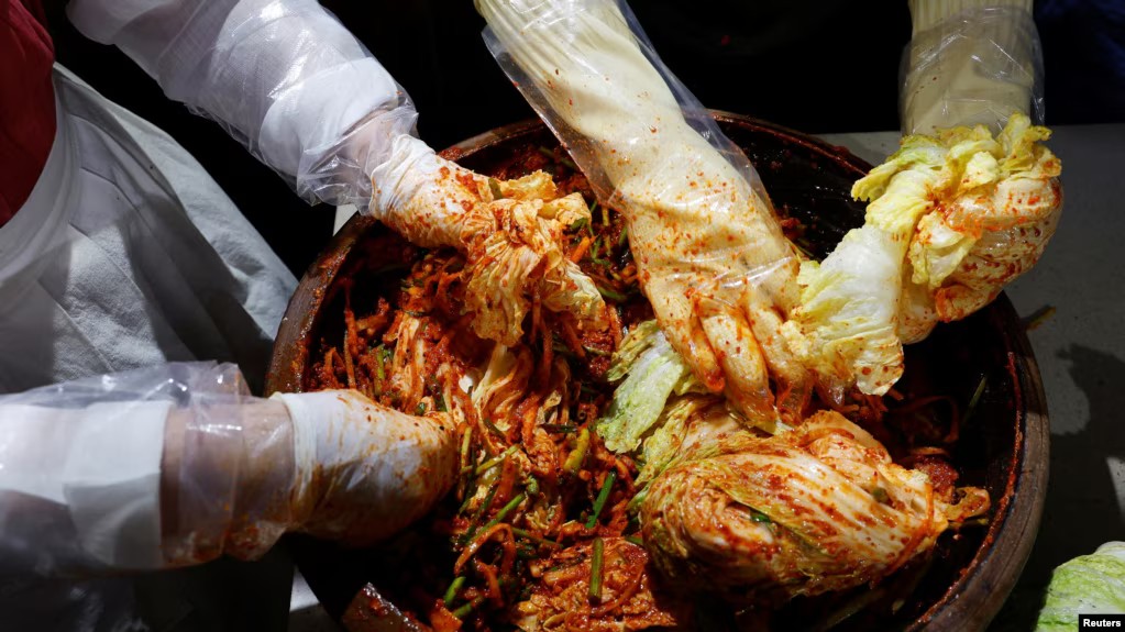 Climate change puts South Korea's beloved cabbage dish at risk