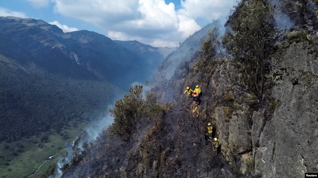 Ecuador declares national emergency as wildfires, drought intensify