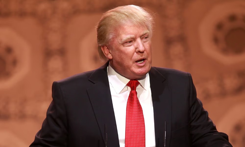 Fannie Mae and Freddie Mac will keep government support, Trump says